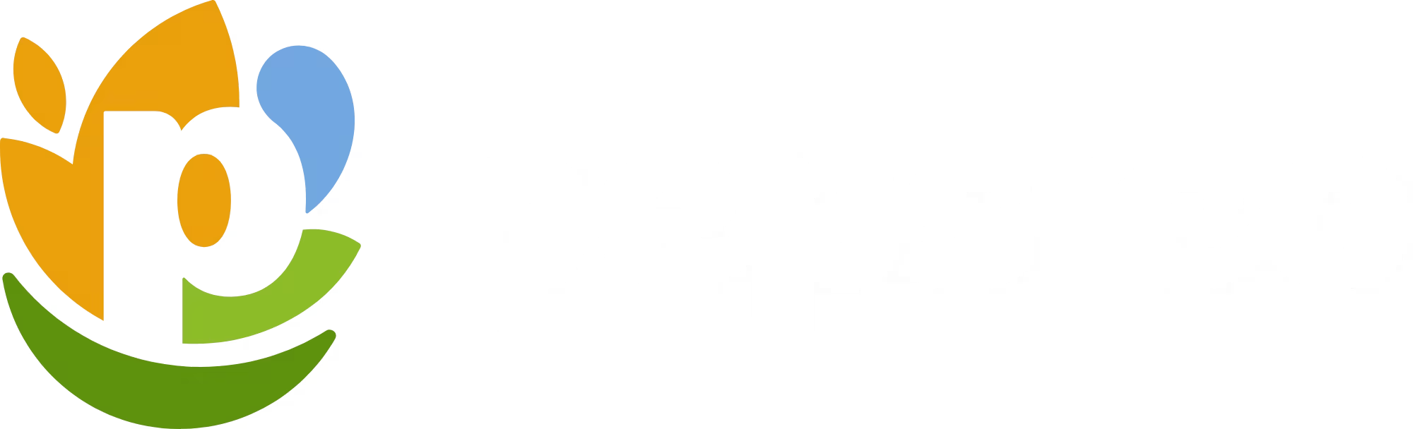 PepsiCo logo