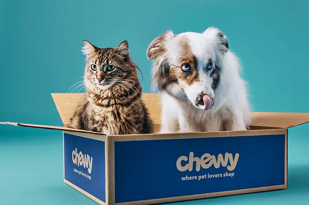 Cat and dog in a Chewy box on a blue background